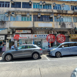 113 San Shing Avenue,Sheung Shui, New Territories
