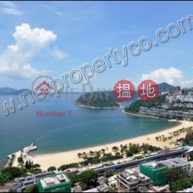The Lily - Repulse Bay, Tower 3 The Lily 淺水灣道129號 3座 | Southern District (A029370)_0