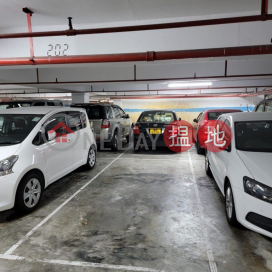 沙田第一城 五期地下單邊特大車位 | 沙田第一城29座 Block 29 Site 3 City One Shatin _0