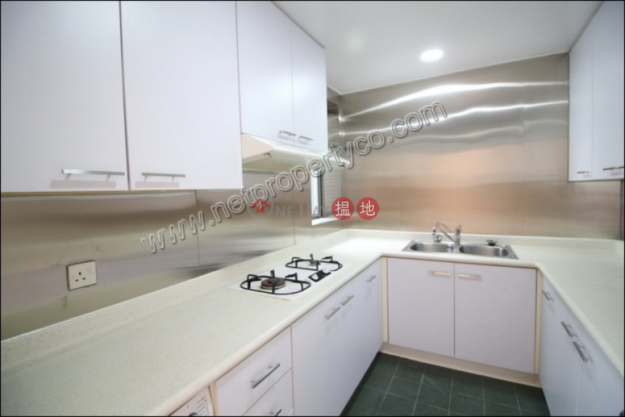 Apartment with Rooftop for Rent in Sheung Wan | Hollywood Terrace 荷李活華庭 Rental Listings
