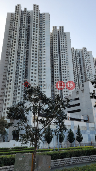 富康花園 7座 (Block 7 Beverly Garden) 將軍澳| ()(1)