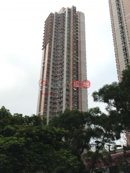Park Belvedere Tower 3 (Park Belvedere Tower 3) Ma On Shan|搵地(OneDay)(1)