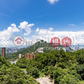 Property for Sale at Parkview Terrace Hong Kong Parkview with more than 4 Bedrooms