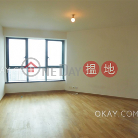 Stylish 3 bedroom in Mid-levels West | Rental | 80 Robinson Road 羅便臣道80號 _0