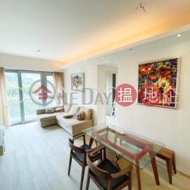2房1廁,星級會所,露台貝沙灣4期出租單位 | 貝沙灣4期 Phase 4 Bel-Air On The Peak Residence Bel-Air _0