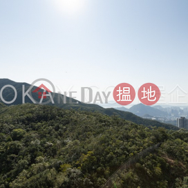 4房3廁,實用率高,星級會所,連車位陽明山莊 摘星樓出租單位 | 陽明山莊 摘星樓 Parkview Heights Hong Kong Parkview _0