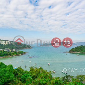 Luxurious house with rooftop, terrace & balcony | Rental | Tai Hang Hau Village 大坑口村 _0