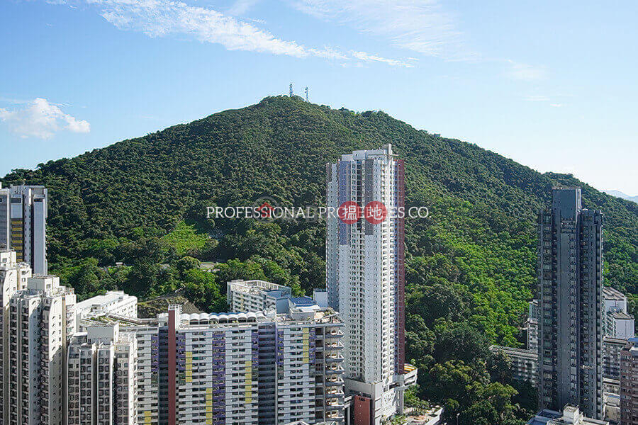 空中平台及內置樓梯直達天台-11石山街 | 西區|香港-出售HK$ 1.22億