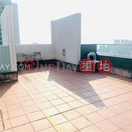 Tasteful 2 bedroom on high floor with rooftop & balcony | Rental | Sham Wan Towers Block 3 深灣軒3座 _0