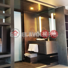 1 Bed Flat for Rent in Mid Levels West, ACTS Rednaxela ACTS Rednaxela | Western District (EVHK44945)_0