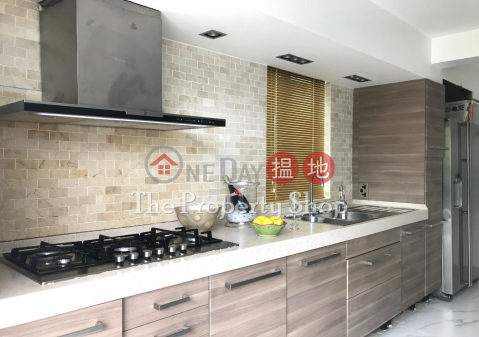 Stylish Lower Duplex + Large Terrace, Tsam Chuk Wan Village House 斬竹灣村屋 | Sai Kung (SK2126)_0