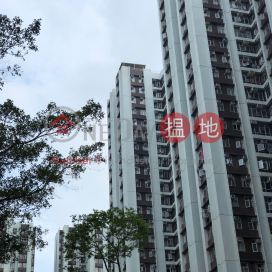 (T-50) Yiu Sing Mansion On Sing Fai Terrace Taikoo Shing,Tai Koo, Hong Kong Island