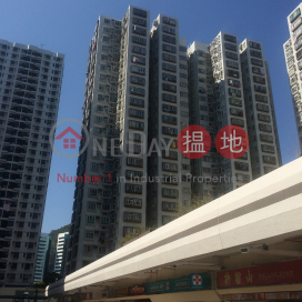 Lucky Plaza Shung Lam Court (Block A1)|好運中心松林閣(A1座)