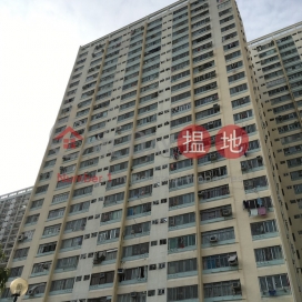 Tai Yuen Estate Block A Tai Lok House|大元村 泰樂樓 A座