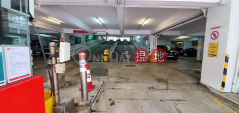 Tai Koo Shing carpark phase 8, Harbour View Gardens East Taikoo Shing 太古城海景花園東 | Eastern District (FACEB-0637401314)_0