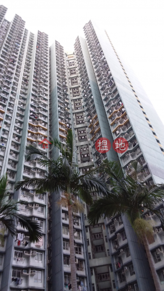 Tai Tin House, Pak Tin Estate (白田邨太田樓),Shek Kip Mei | ()(2)