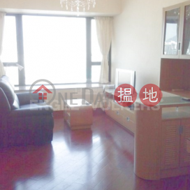 西九龍一房筍盤出租|住宅單位, 凱旋門 The Arch | 油尖旺 (EVHK40232)_0