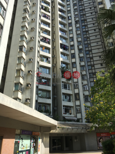 安澤閣 (15座) (Block 15 On Chak Mansion Sites D Lei King Wan) 西灣河| ()(4)