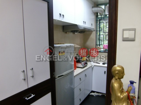 Studio Flat for Sale in Sheung Wan, 225 Hollywood Road 荷李活道225號 | Western District (EVHK36283)_0