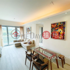 2房1廁,星級會所,露台貝沙灣4期出售單位 | 貝沙灣4期 Phase 4 Bel-Air On The Peak Residence Bel-Air _0