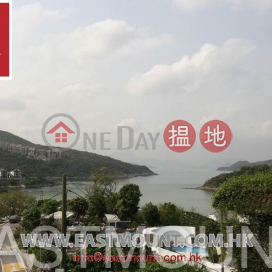 Clearwater Bay Village House | Property For Sale in Tai Hang Hau, Lung Ha Wan 龍蝦灣大坑口-Detached, Nearby Beach | Tai Hang Hau Village 大坑口村 _0