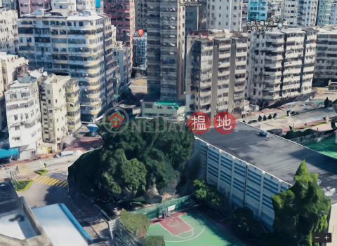 髙層, 平地lift x2, 開揚, 風水好, 急移民, 放愛盤, 好收租 | 深水埗大廈 Sham Shui Po Building _0
