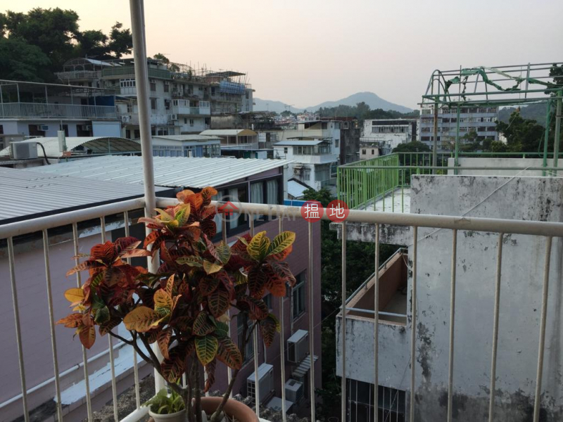 Peng Chau 2/F studio + rooftop, Village House on 4th Street Wai Tsai San Tsuen 圍仔第四街村屋 Sales Listings | Peng Chau (RITAT-2451974043)