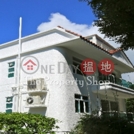 Detached House in Quiet SK Village, 600 Tai Mong Tsai Road 大網仔路600號 | Sai Kung (SK0801)_0