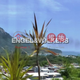Expat Family Flat for Sale in Chi Ma Wan Peninsula | Lo Wai Tsuen Village House 老圍村屋 _0