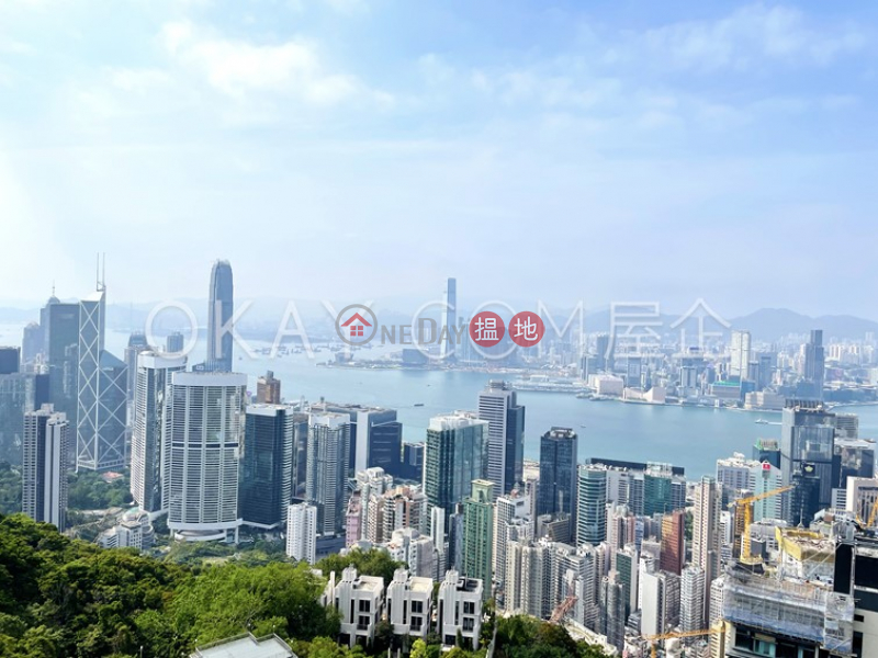 香港搵樓|租樓|二手盤|買樓| 搵地 | 住宅|出租樓盤-5房3廁,極高層,連車位,露台Interocean Court出租單位