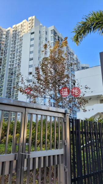 Yung Ming Court Block B (Chak Ming House) (雍明苑B座(澤明閣)),Tseung Kwan O | ()(2)