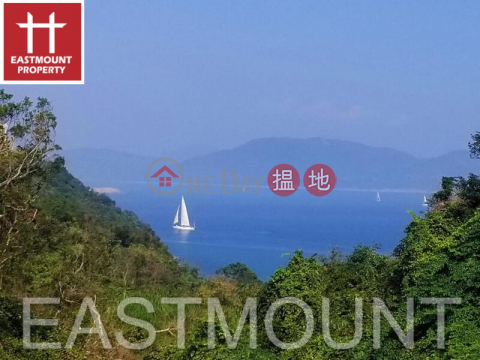 Clearwater Bay Village House | Property For Sale in Ha Yeung 下洋-Garden, Private Pool | Property ID:2825 | 91 Ha Yeung Village 下洋村91號 _0