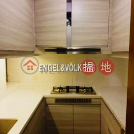 3 Bedroom Family Flat for Rent in Mid Levels West | Blessings Garden 殷樺花園 _0