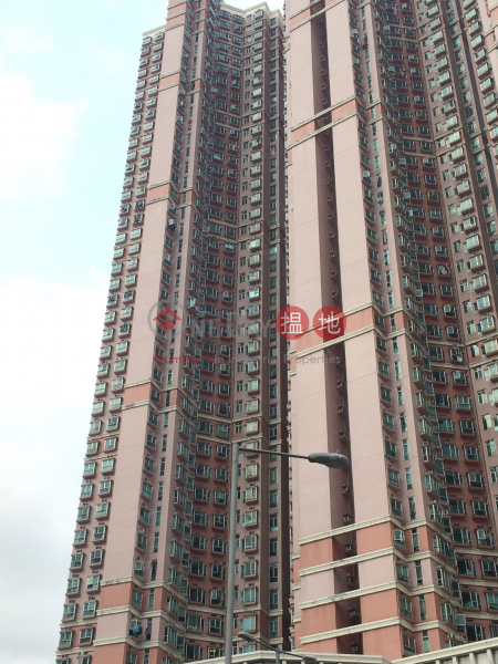 愉景新城1期4座 (Discovery Park Phase 1 Block 4) 荃灣西|搵地(OneDay)(2)