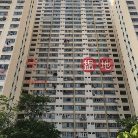 Tai Yuen Estate Block B Tai Lok House|大元村 泰樂樓 B座