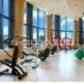 3 Bedroom Family Flat for Rent in Mid Levels West | 80 Robinson Road 羅便臣道80號 _0