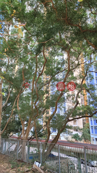 彩明苑 彩楊閣 (A座) (Choi Yeung House (Block A) Choi Ming Court) 將軍澳| ()(1)