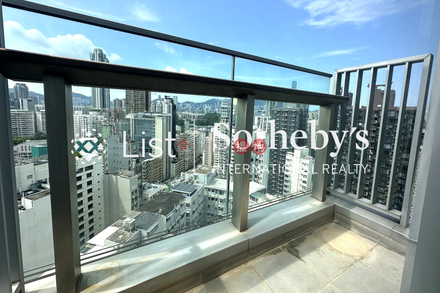 棗梨雅道3號|未知|住宅|出租樓盤HK$ 80,000/ 月