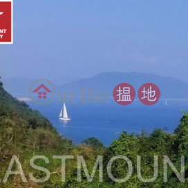 Clearwater Bay Village House | Property For Sale in Ha Yeung 下洋-Garden, Private Pool | Property ID:2825 | 91 Ha Yeung Village 下洋村91號 _0