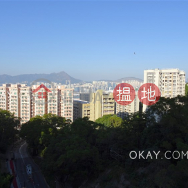 Gorgeous 3 bedroom with balcony & parking | Rental | Braemar Hill Mansions 賽西湖大廈 _0