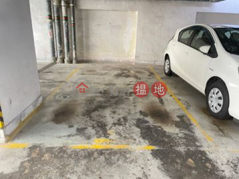 Morrison Plaza Carpark No.5, Morrison Plaza 天樂廣場 | Wan Chai District (JESSI-8934377309)_0