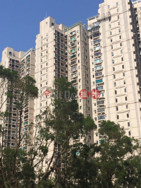 Phoenix Heights Block 2 Shatin 33 (Phoenix Heights Block 2 Shatin 33) Fo Tan|搵地(OneDay)(1)