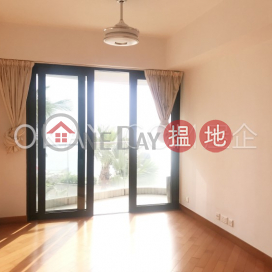 Nicely kept 2 bedroom with terrace | Rental | Phase 6 Residence Bel-Air 貝沙灣6期 _0