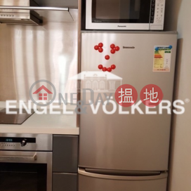 1 Bed Flat for Sale in Soho, 5-6 Tai On Terrace 大安臺5-6 號 | Central District (EVHK45263)_0