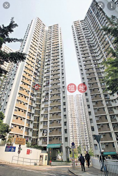 car park rent, Tower 1 Greenwood Terrace 康翠臺 1座 Rental Listings | Chai Wan District (CW25082021)
