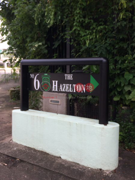 The Hazelton (The Hazelton) Shouson Hill|搵地(OneDay)(1)