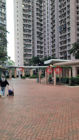 廣明苑 廣隆閣 (B座) (Kwong Lung House (Block B) Kwong Ming Court) 將軍澳| ()(2)