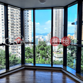 4房2廁,實用率高,連車位,露台海天閣出租單位 | 海天閣 Haddon Court _0