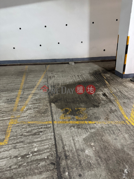 Car Park for rent at Savoy Court, Savoy Court 夏蕙苑 Rental Listings | Western District (BUYDE-1994522533)