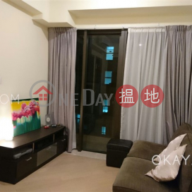1房1廁,星級會所曦巒出售單位, 曦巒 Park Haven | 灣仔區 (OKAY-S99216)_0